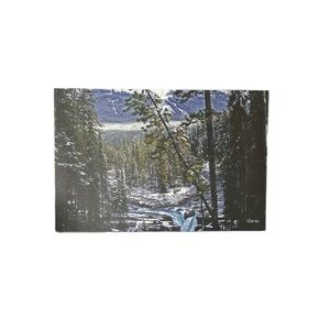 🍒Free Gift with 3+ items purchased🍒. Original Artist Photography on Canvas